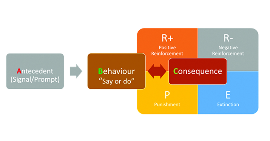 ABC behavioural safety culture graphic