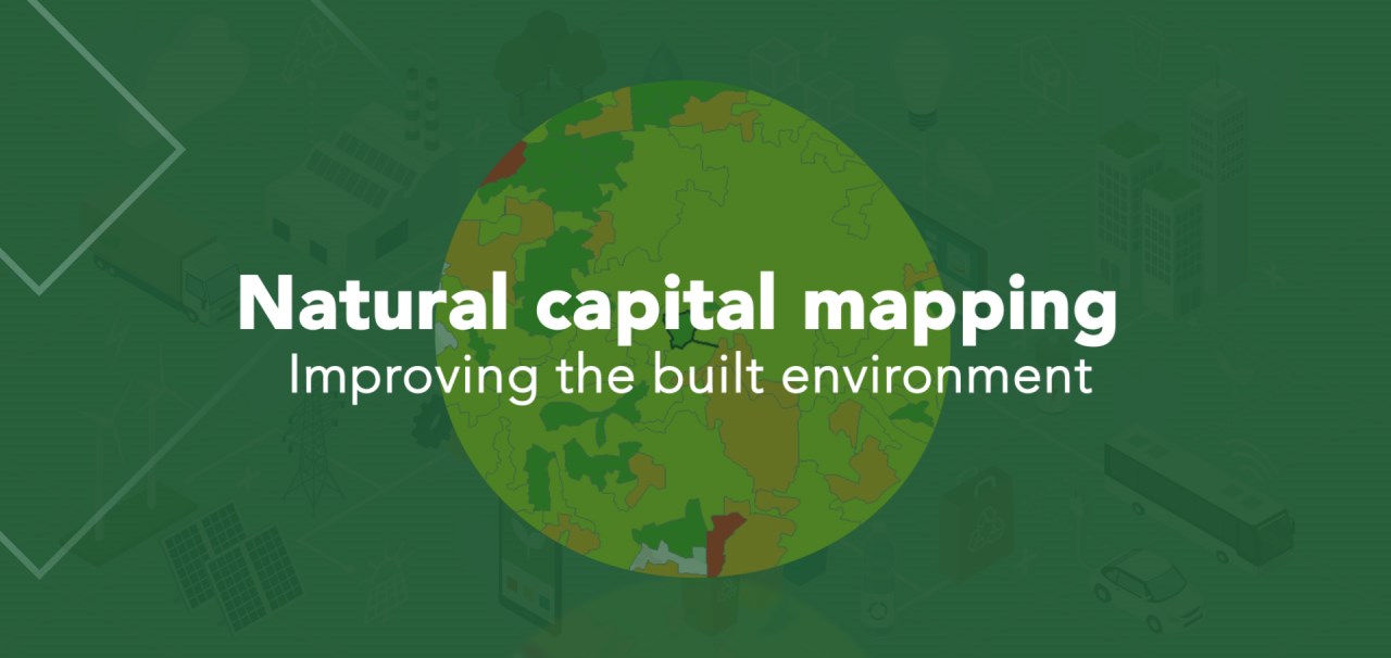 Natural Capital Mapping