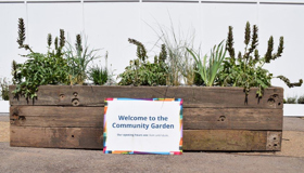 ScS social value garden image