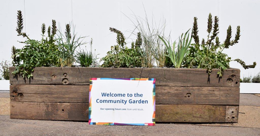 ScS social value garden image