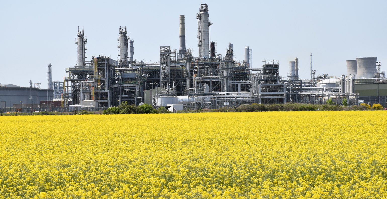 INEOS FPS With Yellow Flowers Credit INEOS FPS