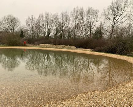 A Great Crested Newt Pond Was Establishd With Marginal Aquatic Planting