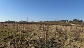 Costain Sandyforth Green Gateway