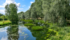Shutterstock 1486462211 He 060421 Natural Capital Web