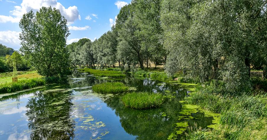 Shutterstock 1486462211 He 060421 Natural Capital Web
