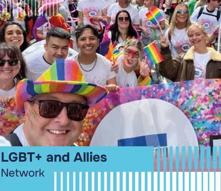 LGBT+ And Allies Web Network