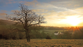 Shutterstock 1275919771 Rural Village Web