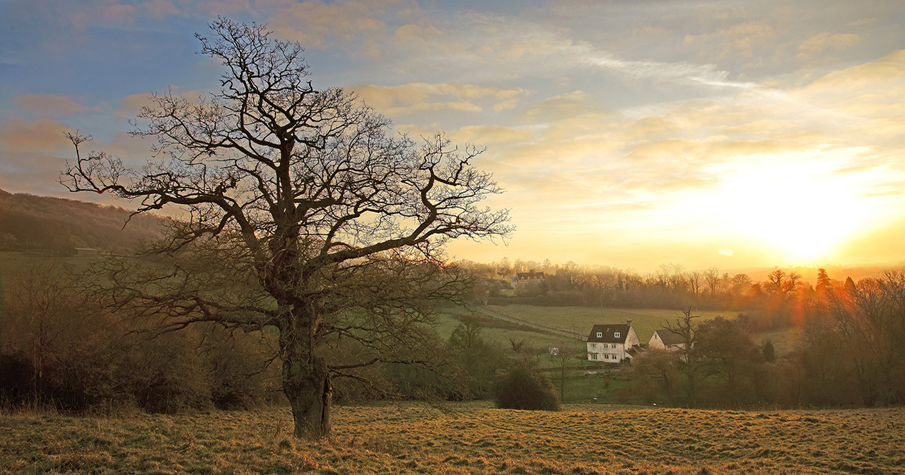 Shutterstock 1275919771 Rural Village Web