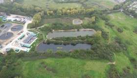 14 Ecosystem Creation At Hailsham South