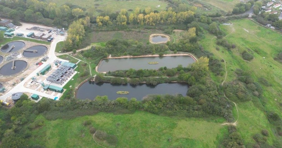 14 Ecosystem Creation At Hailsham South