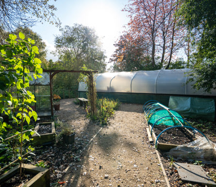 P19 M6 Community Garden